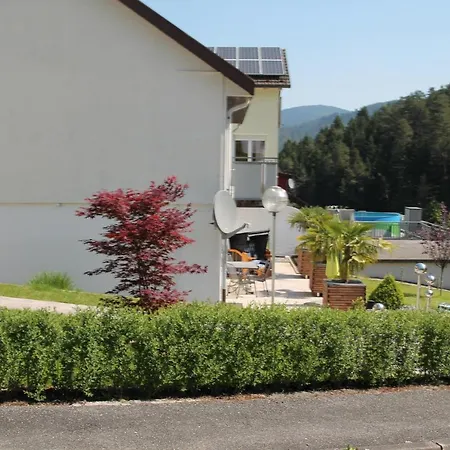 Waldblick Apartment Gutach