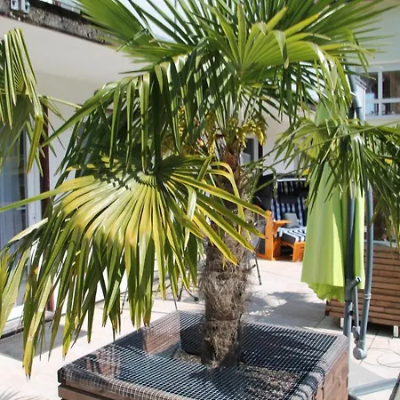 Waldblick Apartment Gutach